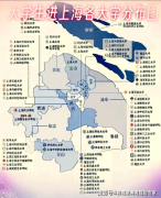 8.制药工程(中药制药标的目的):侧沉制剂…